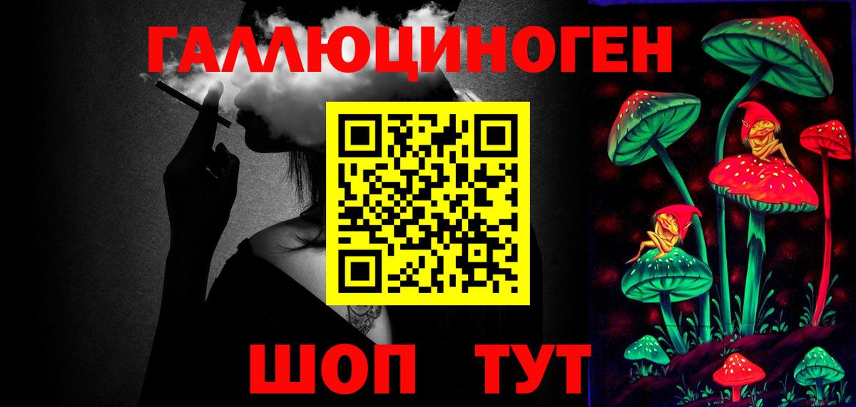 Галлюциногенные грибы Cubensis Горячий Ключ