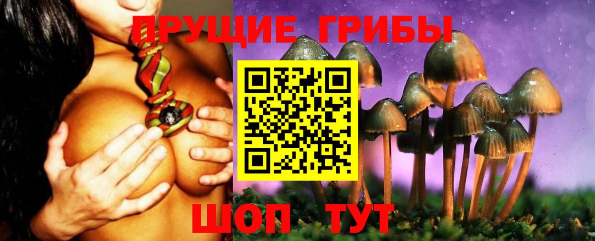 Галлюциногенные грибы прущие грибы  Вход с VPN  Горячий Ключ 